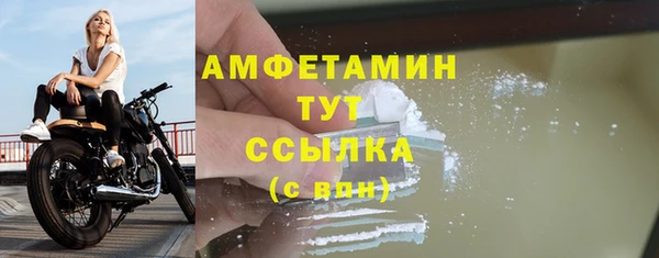 индика Дмитровск