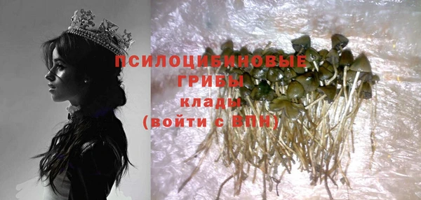 хмурый Михайловка