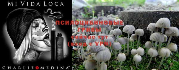 круглые Михайловск