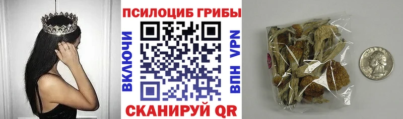 hydra ССЫЛКА Курлово Галлюциногенные грибы прущие грибы